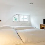 Apartament Boddenraeuber 4 Ahrenshoop