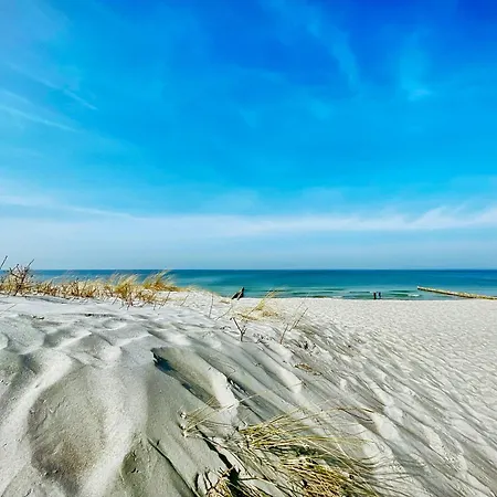 Boddenraeuber 4 Ahrenshoop
